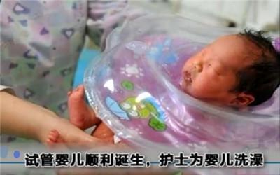 同志供卵代孕网